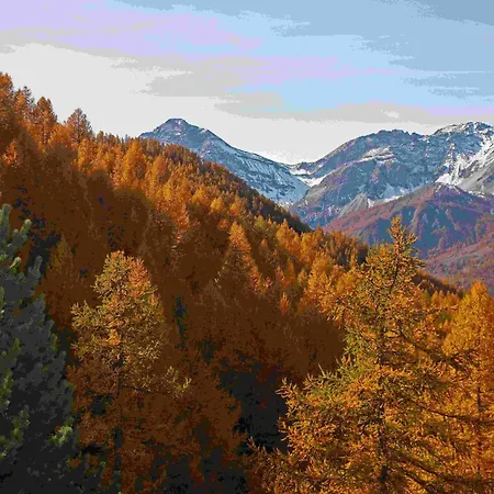Hotel Chalet Il Capricorno-2