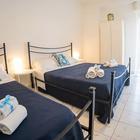 Hippocampus B&B-2