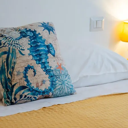 Hippocampus B&B-3