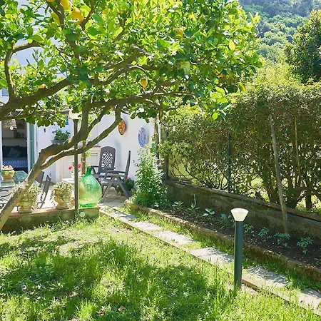 Il Cellaio-3