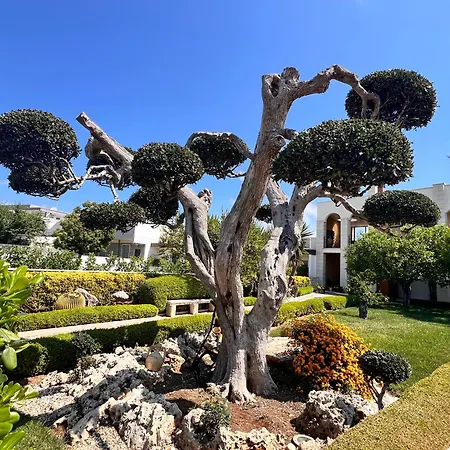 B&B La Rosa Blu-3