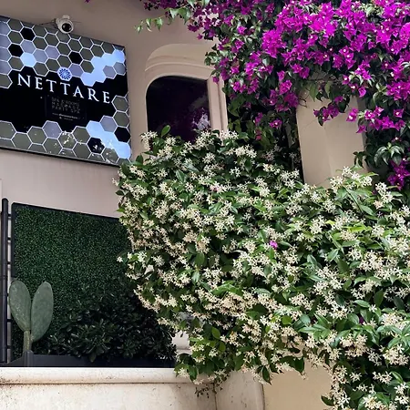 Dimora Nettare-3