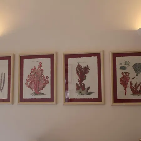 Il Palazzetto Ponza-2