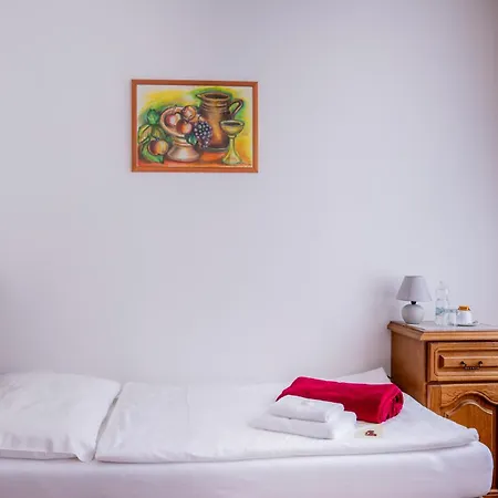 Hotel Praga-3