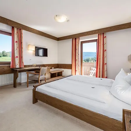Hotel Wiedenhofer-2