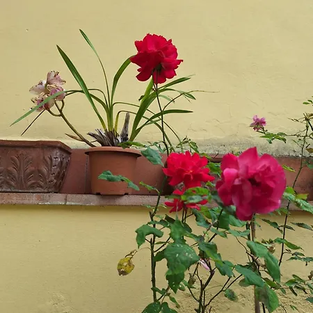 Dimora Del Magnifico-2