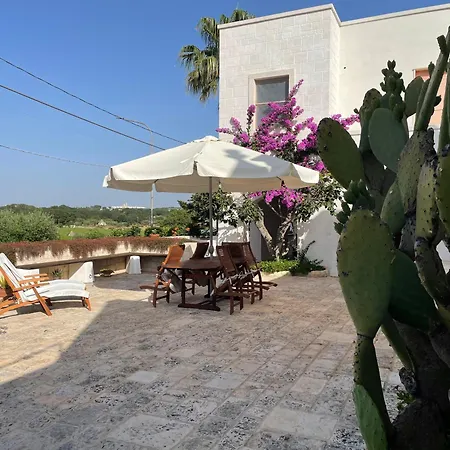 B&B Via dei Trulli-3