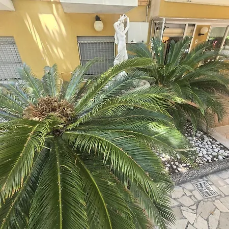 Hotel Majorca Nuova Gestione Rimini 100 m dalla spiaggia-3