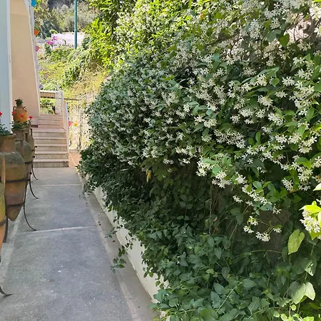 Villa Striano Capri - Guest House - Rooms Garden&Art-2
