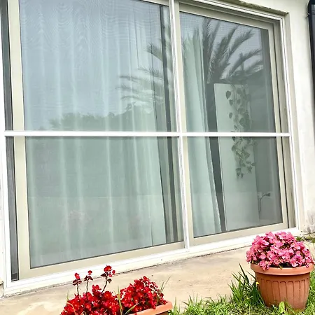 B&B Le Palme-3