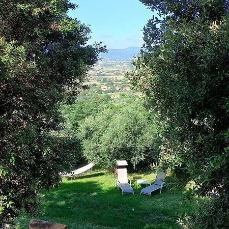 Domus Antiqua Bed & Breakfast-3