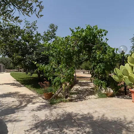 Corallo House-2