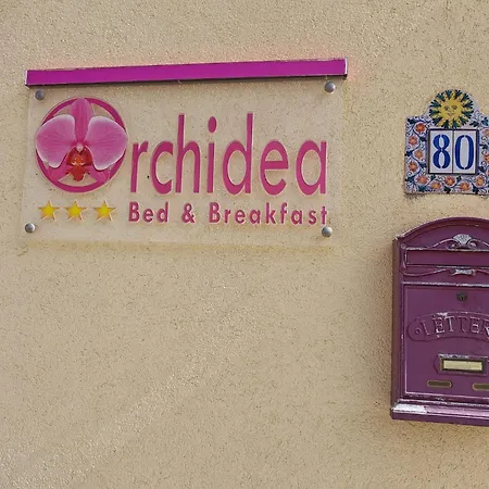 B&B Orchidea-3