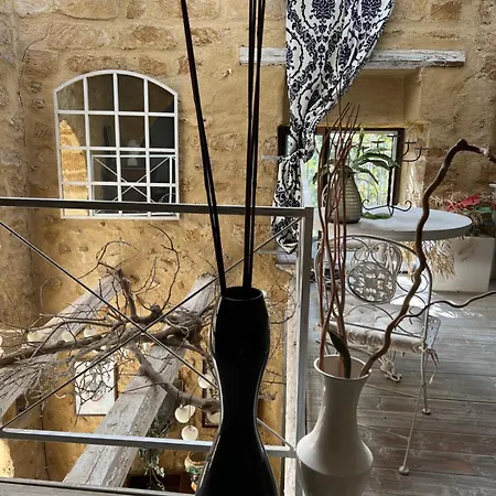Atrium Experience-2