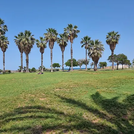 Palermo Panorama By Holiday World-2