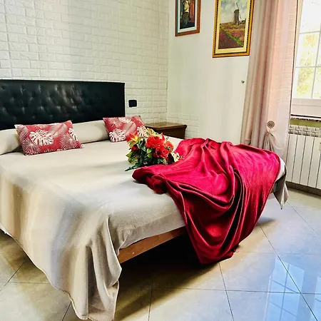 The Comfort Apartment-2