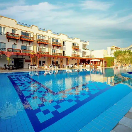 Falcon Naama Star Hotel-3