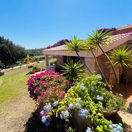 La Casa del Mirto-2