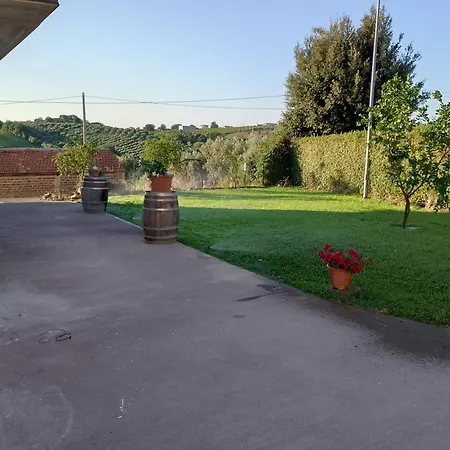 B&B Sophia-3