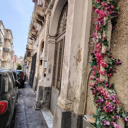 Carmen House-3