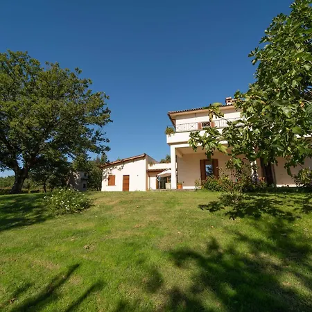 Poggio delle Ginestre-2