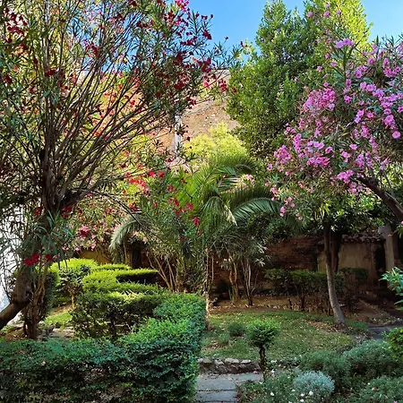 Il Giardino Nascosto-2