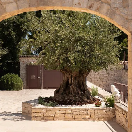 B&B Radici d'Olivo-2