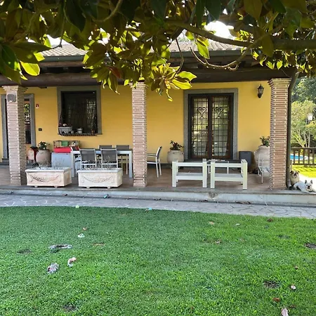 Paradise Home-2