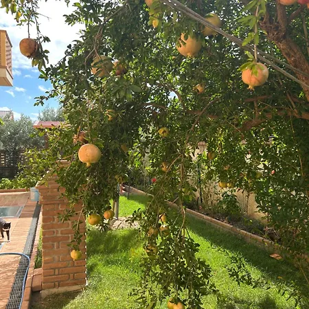B&B Villa Maria - Settingiano di Martelletto-2