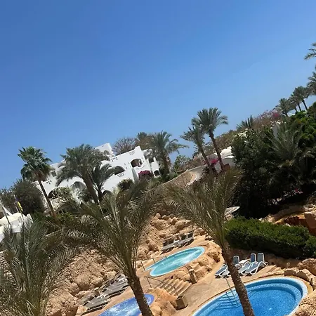 Domina Coral Bay-2