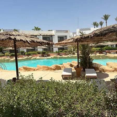 Domina Coral Bay-3