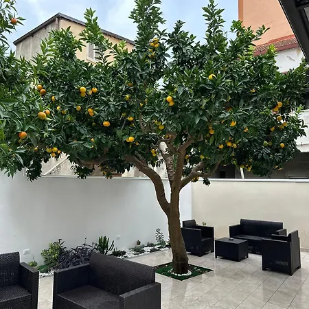 B&B Villa Soleil-3