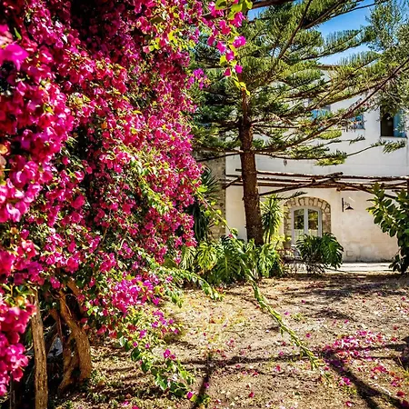 Villa Puolo – With Private Sea Access-3