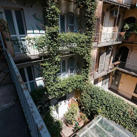 Tomato Backpackers-3
