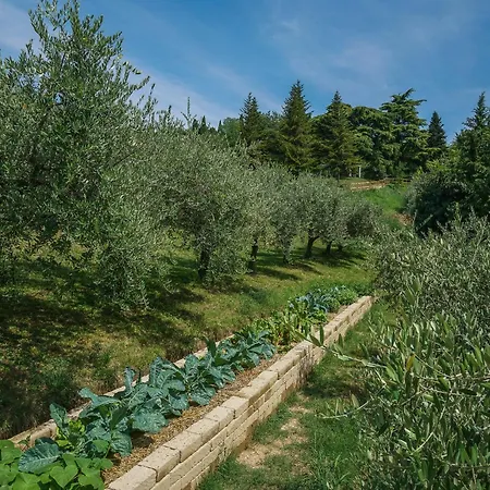Cà Toresele Relais Osteria Garden-2