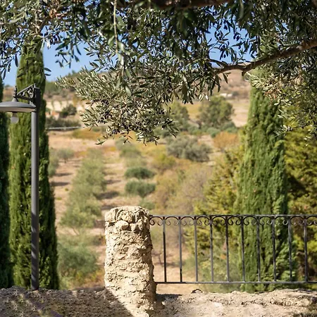 Roba Degli Ulivi-3