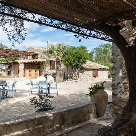Roba Degli Ulivi-2