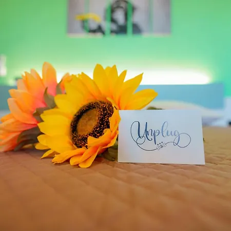 Unplug-2