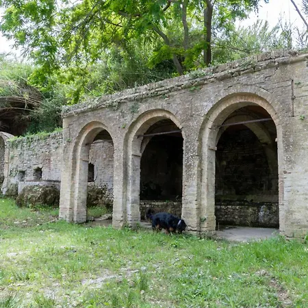Altamira Residence-3