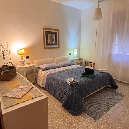 B&B Camelia-3