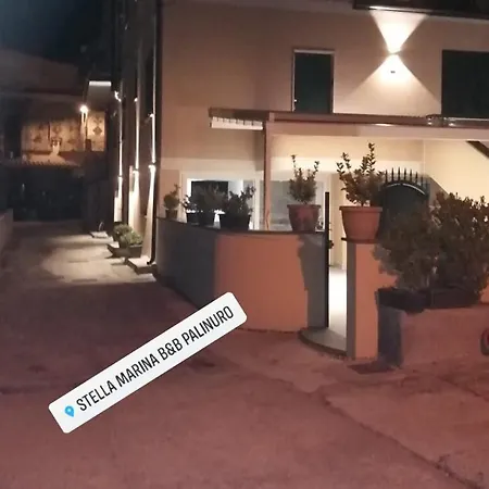 Stella marina-3