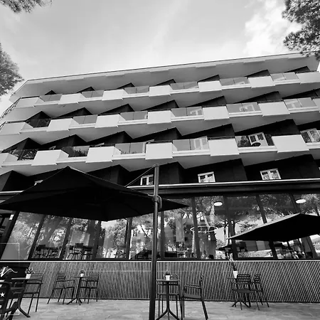 Hotel Noir - Free Brunch & Breakfast Until 13-00 - Vicinissimi A Mirabilandia-3