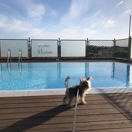 Pet Hotel Virginia - Hotel per cani-2