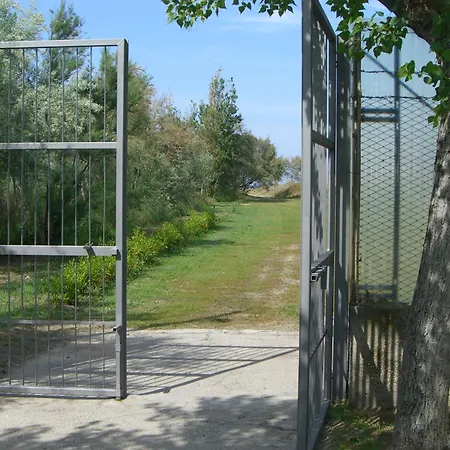 Camping&Residence Il Pioppeto-3