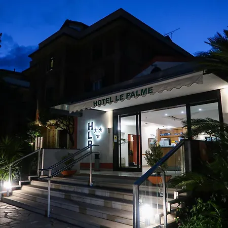 Hotel Le Palme-3
