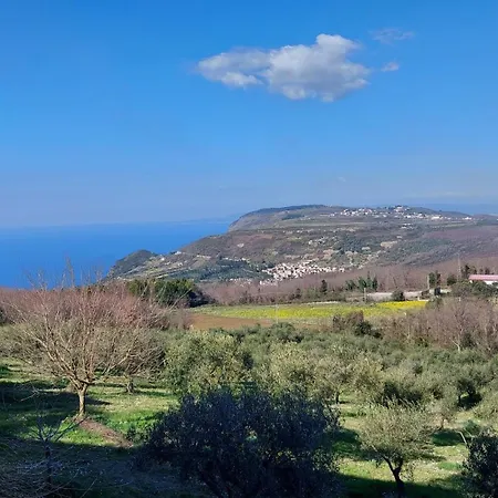 Uliveto Garden-3