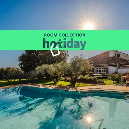 Hotiday Room Collection - Sarzana-3