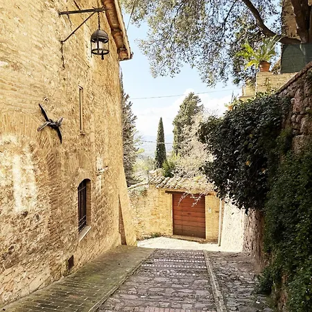 Il Cortile di Assisi-2