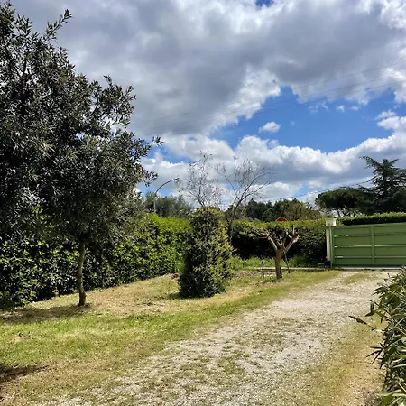 La Beata Giovanna-3