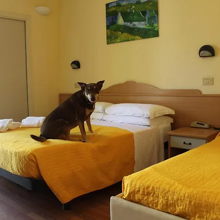 Pet Hotel Virginia - Hotel per cani-3